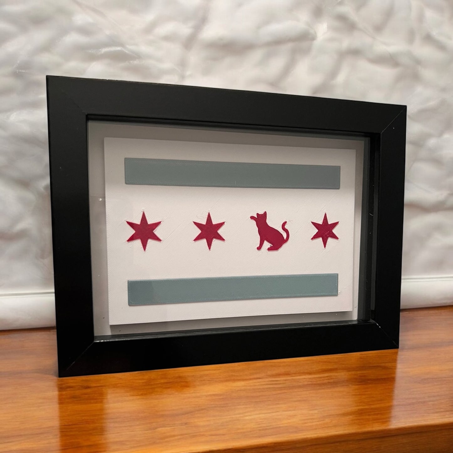 Chicago Flag with Cat