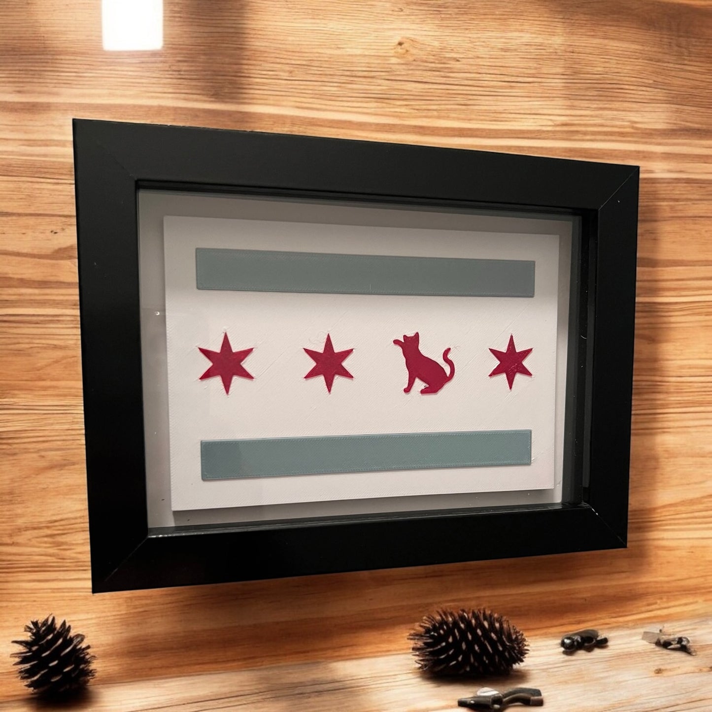 Chicago Flag with Cat