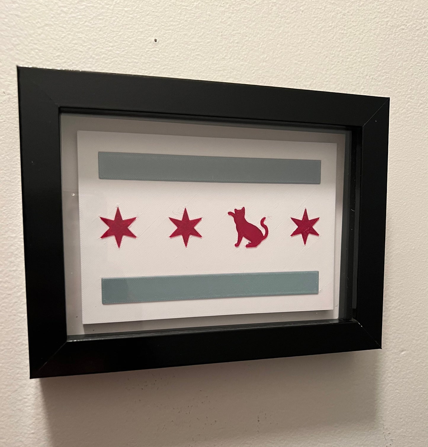Chicago Flag with Cat